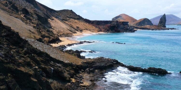 Exploring the Galapagos Islands: A Guide to Environmental Tourism at the Airport