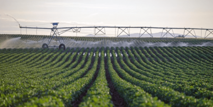 Idaho National Laboratory Software Assists Farmers in Optimizing Water Usage