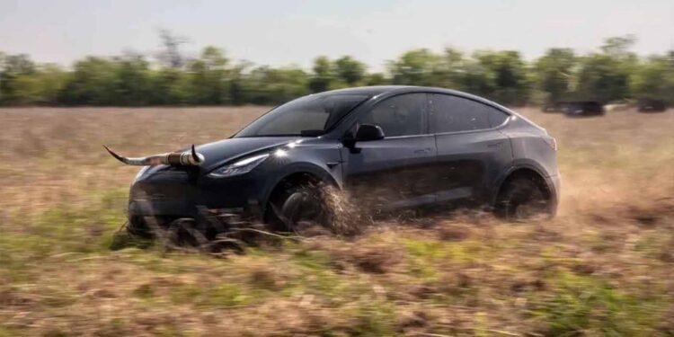 Tesla (TSLA) Model Y Sales Reach Capacity for the Quarter