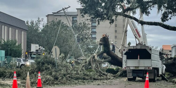 Only 4% of TV news correctly connected Hurricane Beryl to climate change